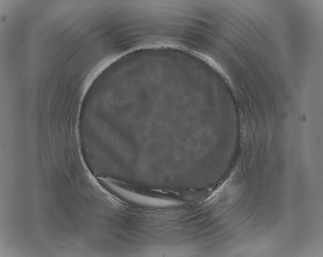 X0000071790943200607211618