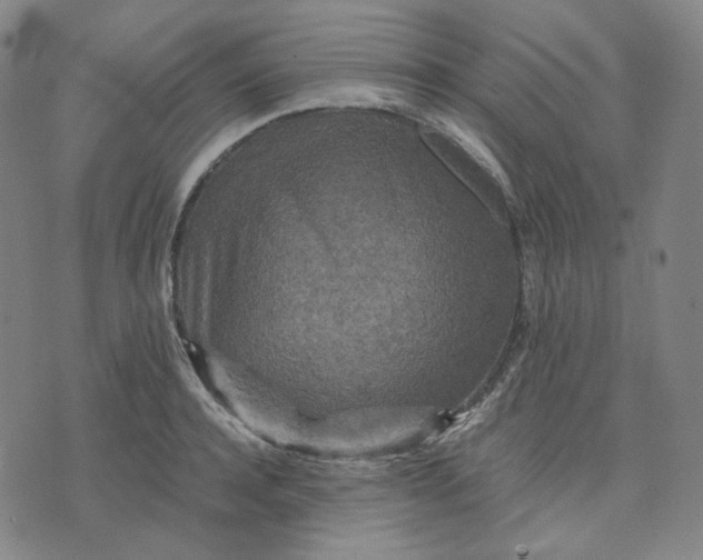 X0000071790944200607211618