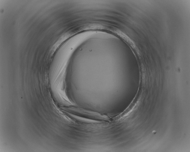 X0000071790945200607211618