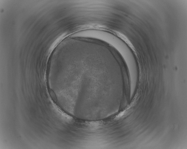 X0000071790946200607211618