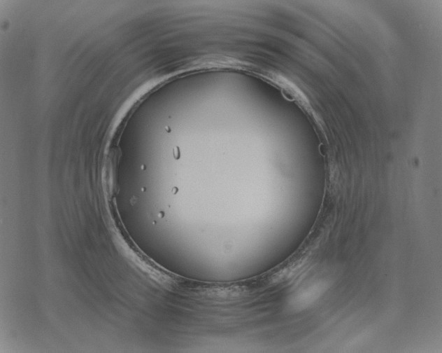 X0000071790947200607211619