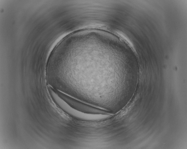 X0000071790948200607211619