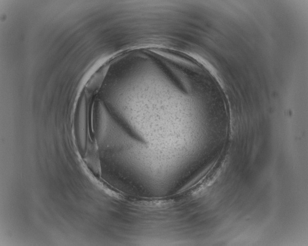 X0000071790949200607211619