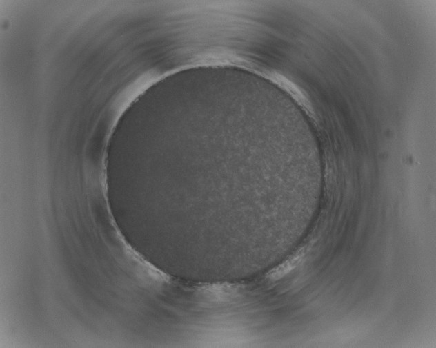 X0000071790950200607211619