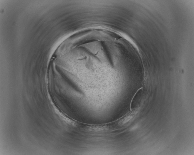 X0000071790951200607211619