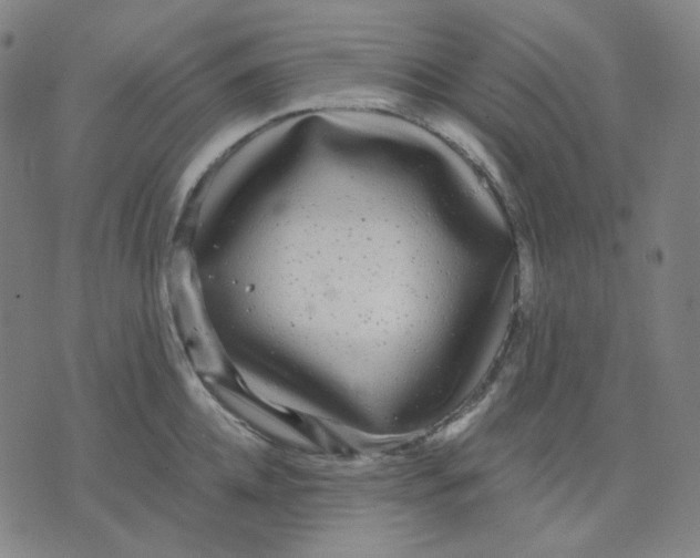 X0000071790952200607211619