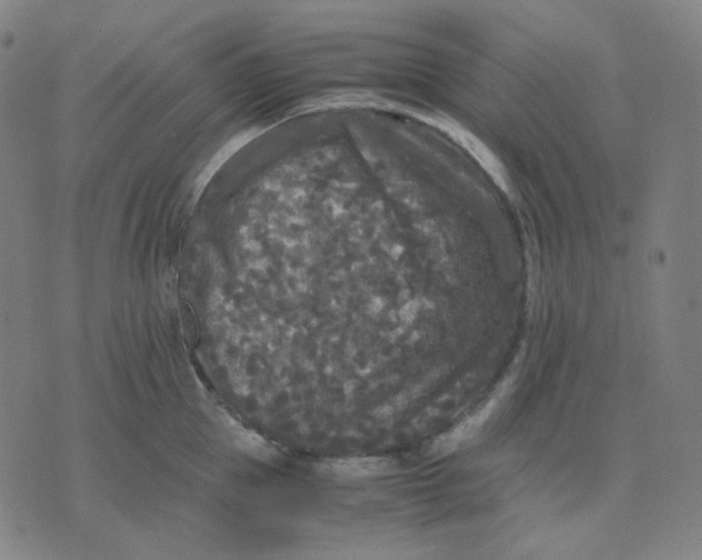 X0000071790953200607211619