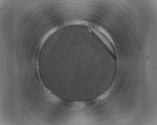 X0000071790954200607211619