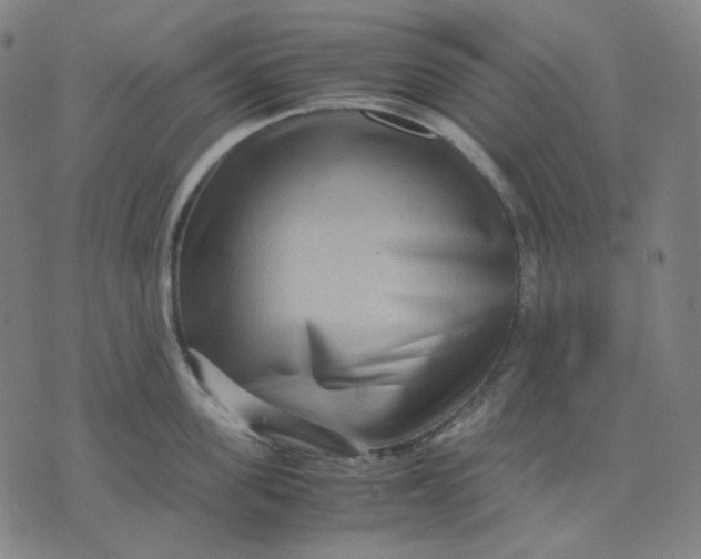 X0000071790955200607211619