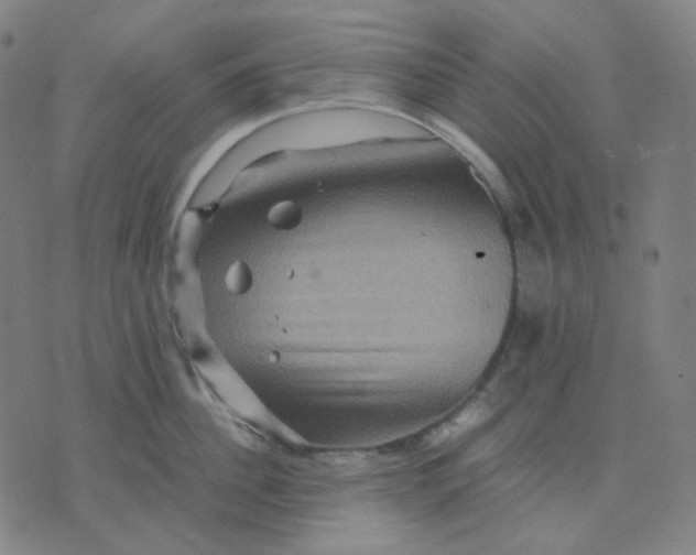 X0000071790956200607211619