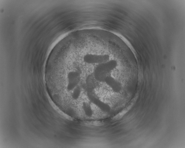 X0000071790957200607211619