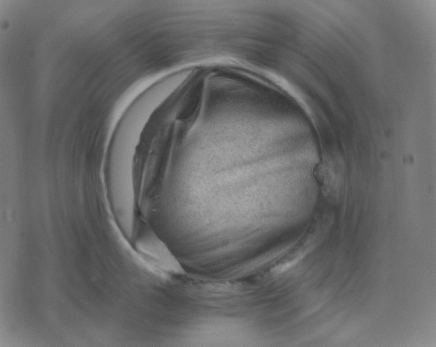 X0000071790959200607211619