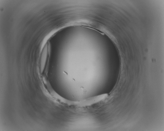 X0000071790960200607211619