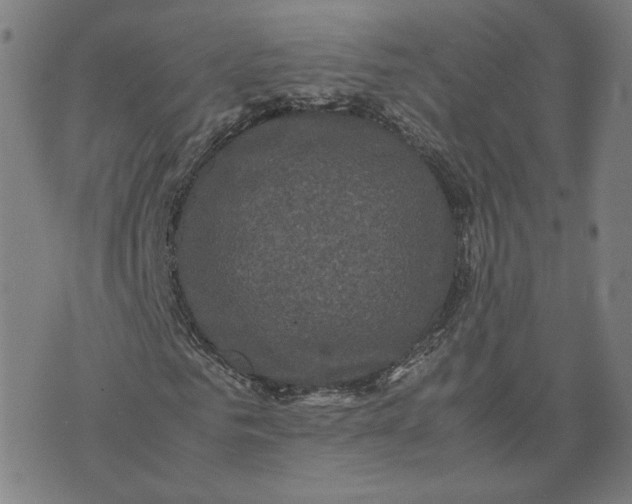 X0000071790961200607211618