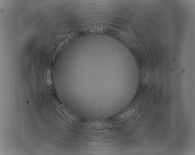 X0000071790962200607211618