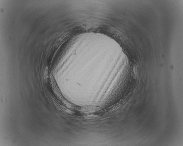 X0000071790963200607211618