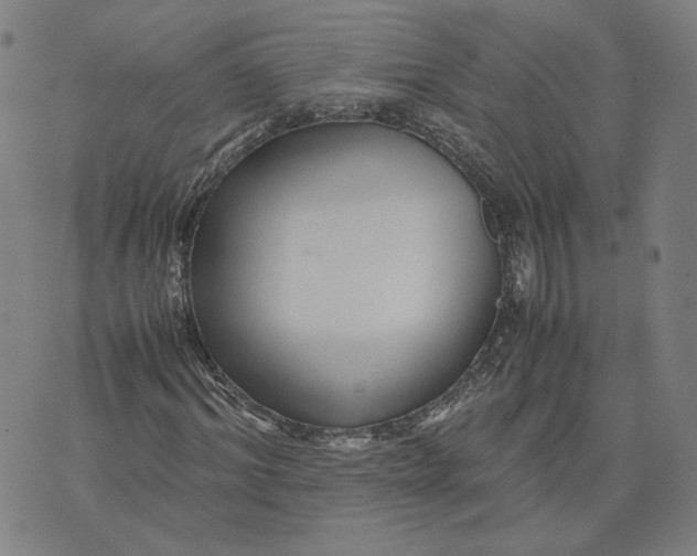 X0000071790964200607211618