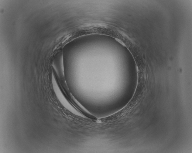 X0000071790965200607211618