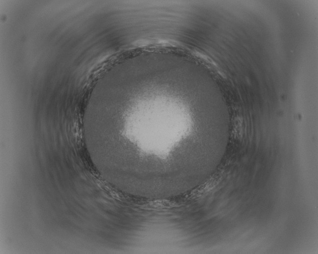 X0000071790966200607211618