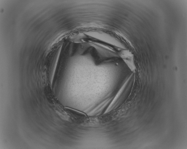 X0000071790968200607211618