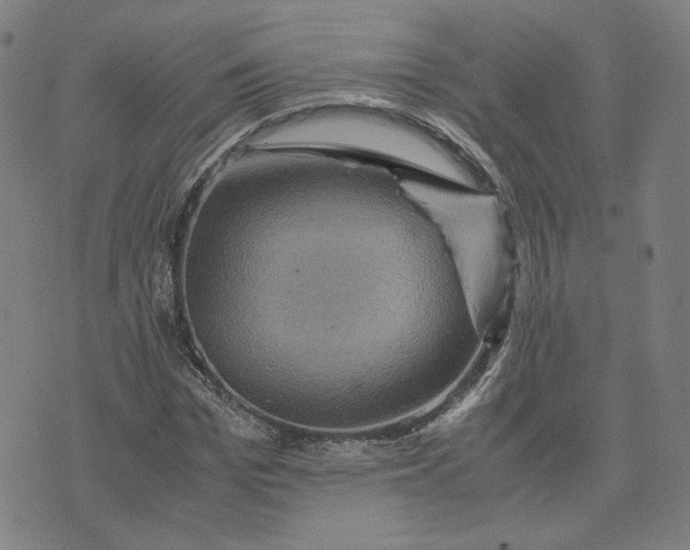 X0000071790969200607211618