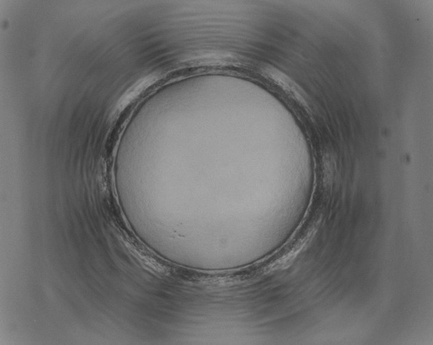 X0000071790970200607211618