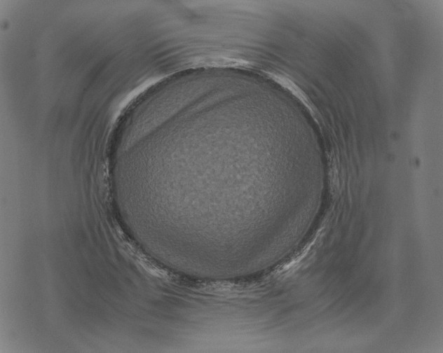 X0000071790971200607211618