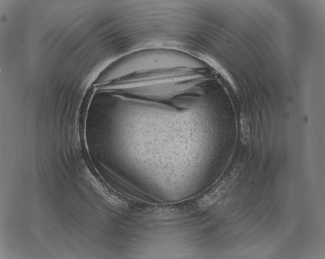 X0000071790972200607211618