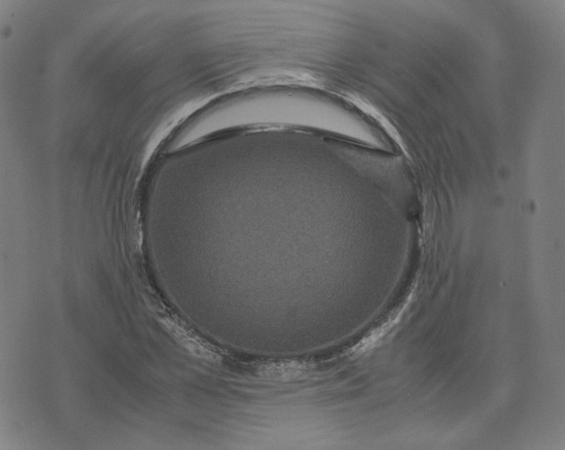 X0000071790973200607211618