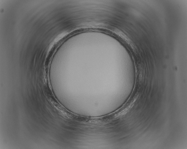 X0000071790974200607211618