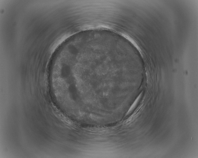 X0000071790975200607211618