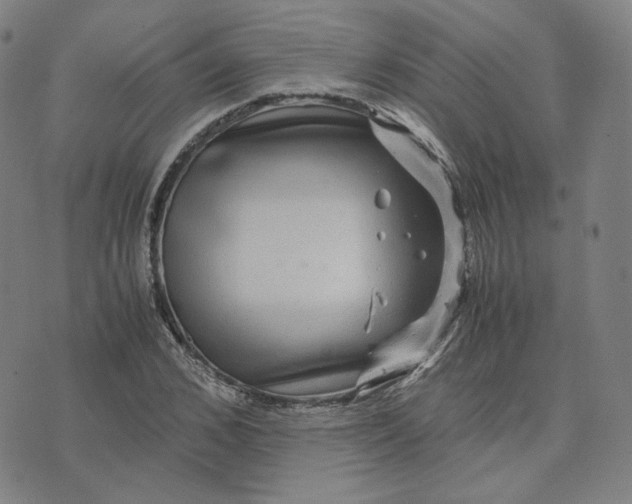 X0000071790976200607211618