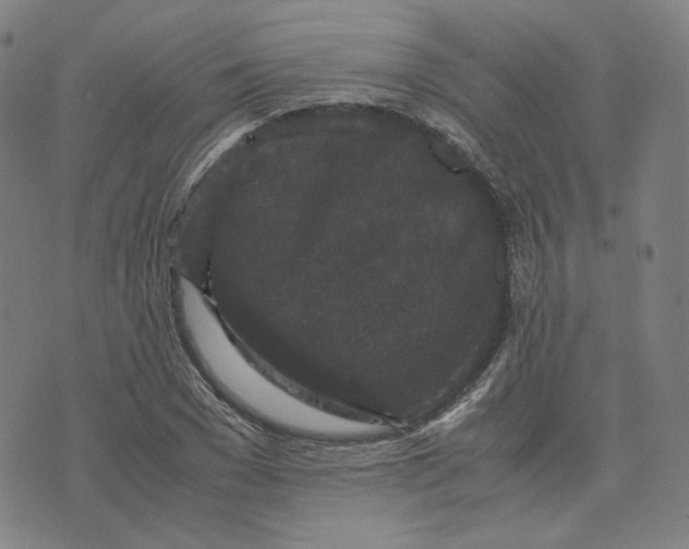 X0000071790977200607211618