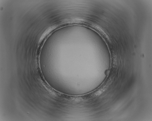 X0000071790978200607211618