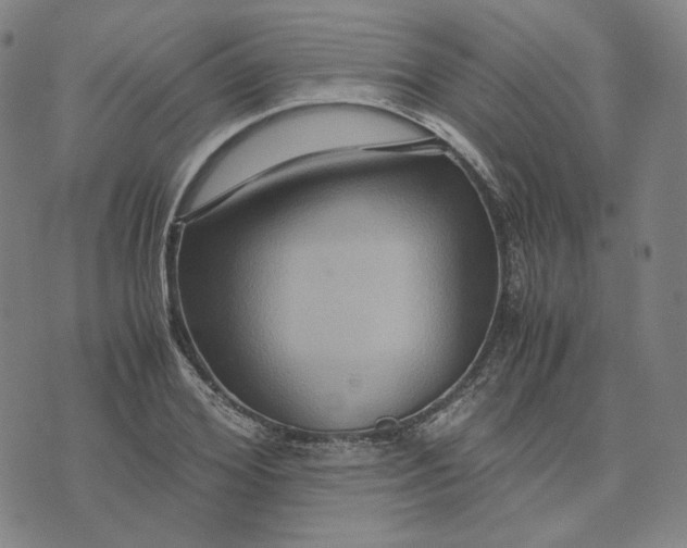 X0000071790980200607211618