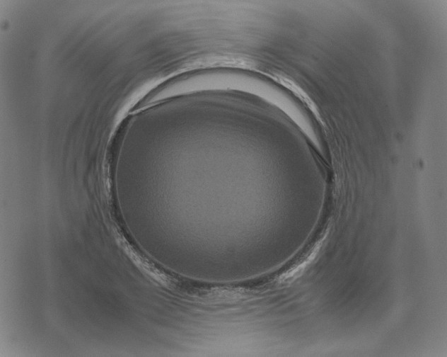 X0000071790981200607211618