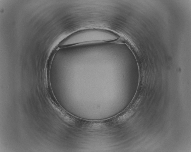 X0000071790982200607211618