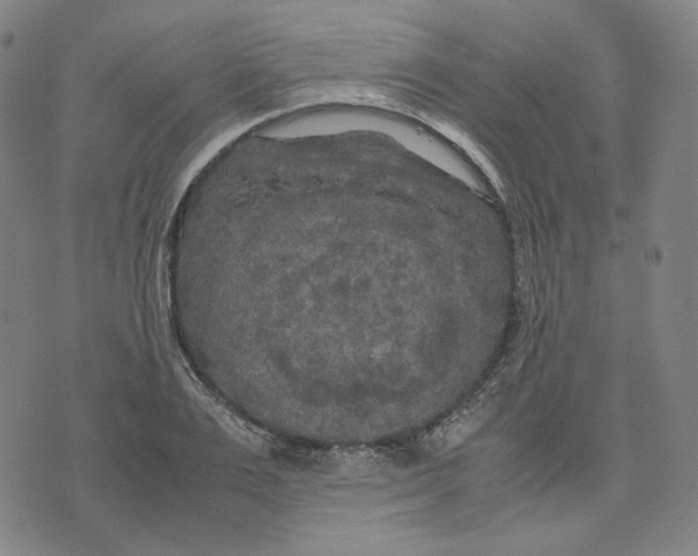 X0000071790983200607211618