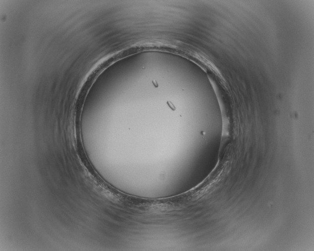 X0000071790984200607211618