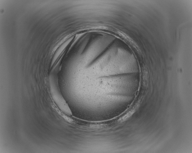 X0000071790985200607211618