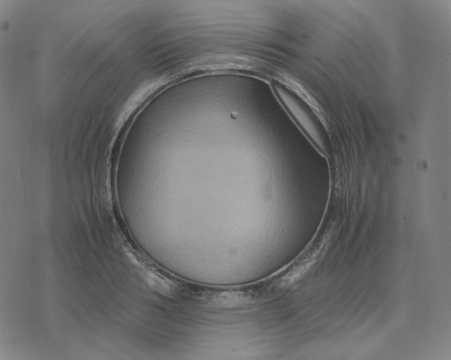 X0000071790986200607211618