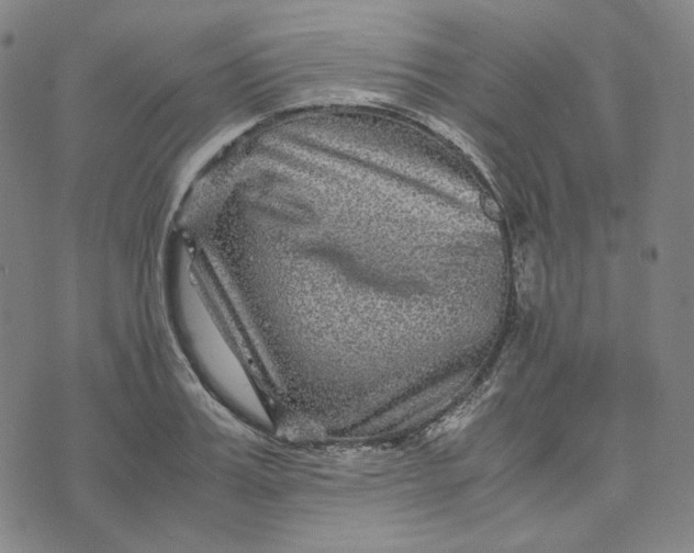 X0000071790987200607211618