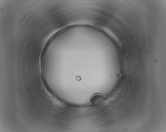 X0000071790988200607211618