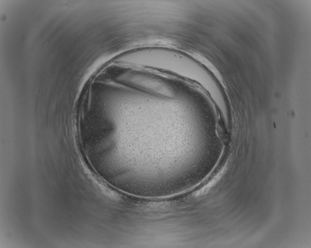 X0000071790989200607211617