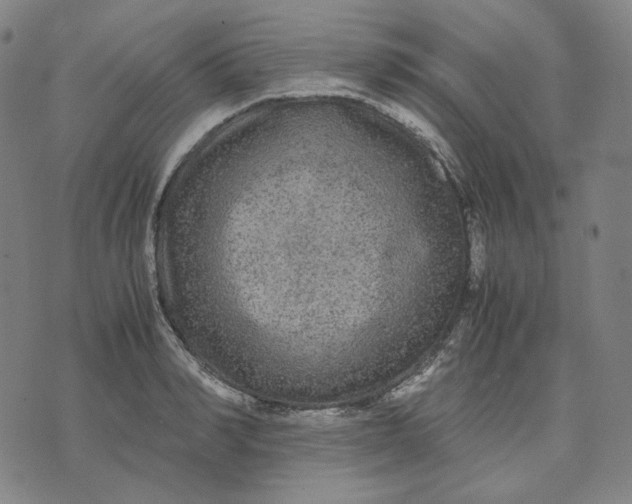 X0000071790990200607211617