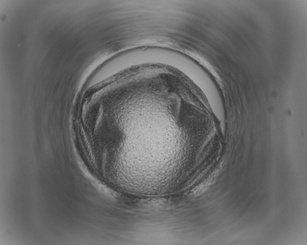 X0000071790991200607211617