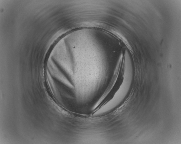 X0000071790992200607211617