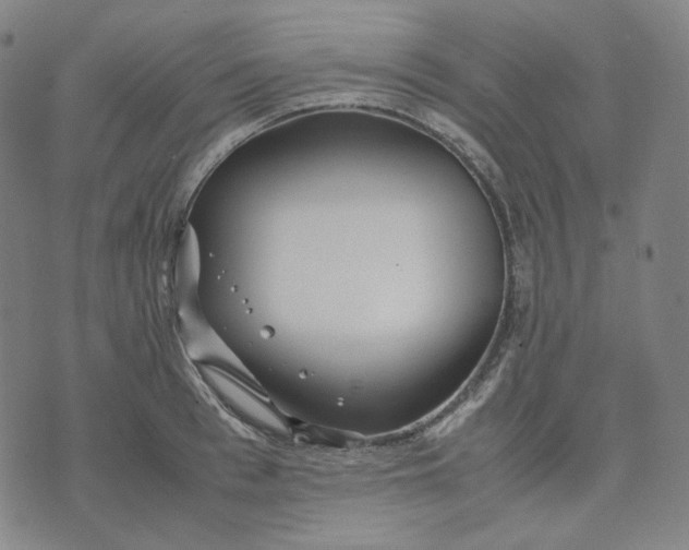 X0000071790993200607211617