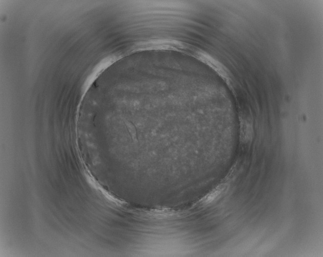 X0000071790994200607211617