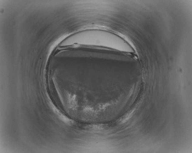 X0000071790995200607211617